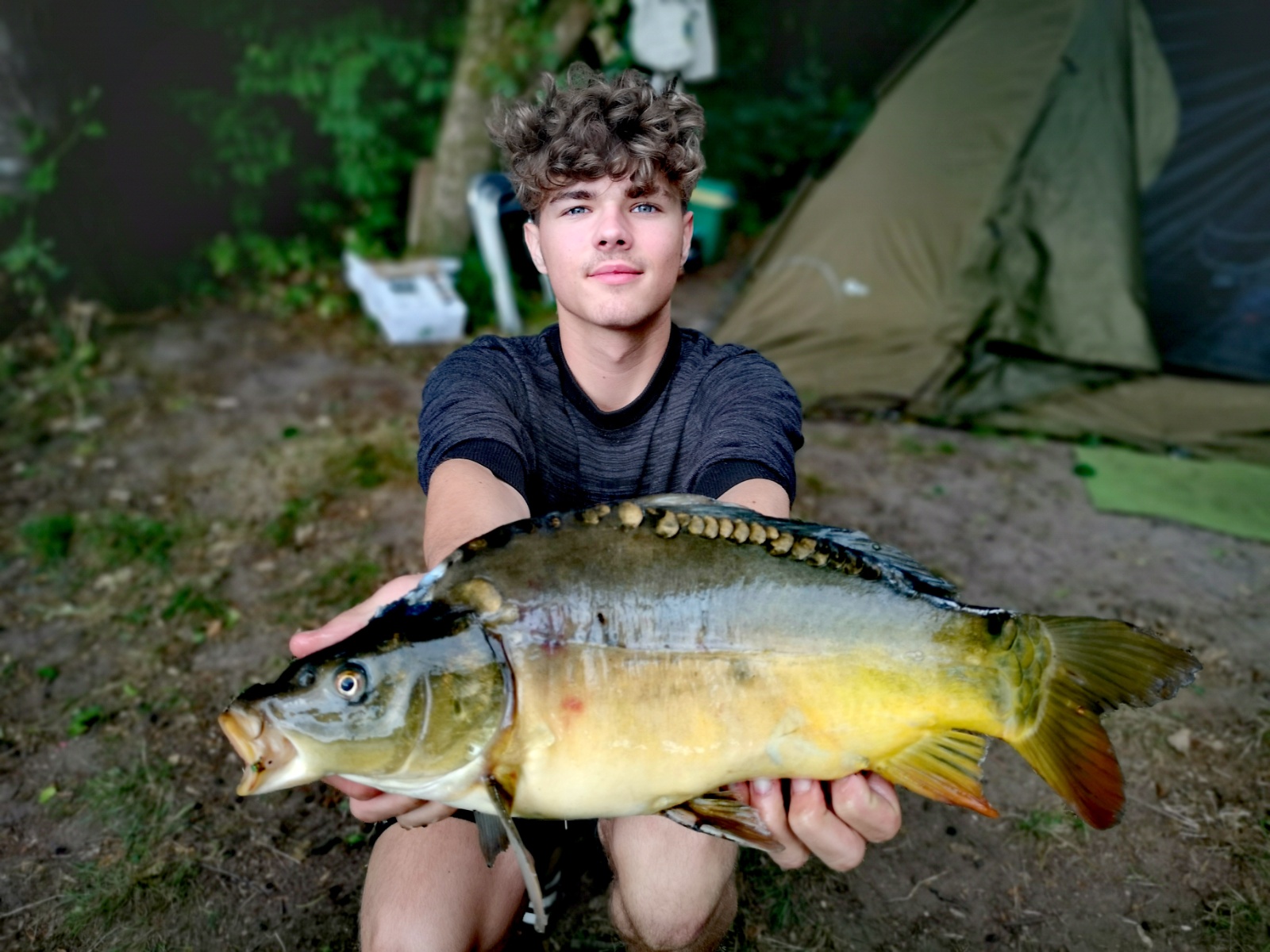 IMG 20230705 132019 edit 3181958366035816