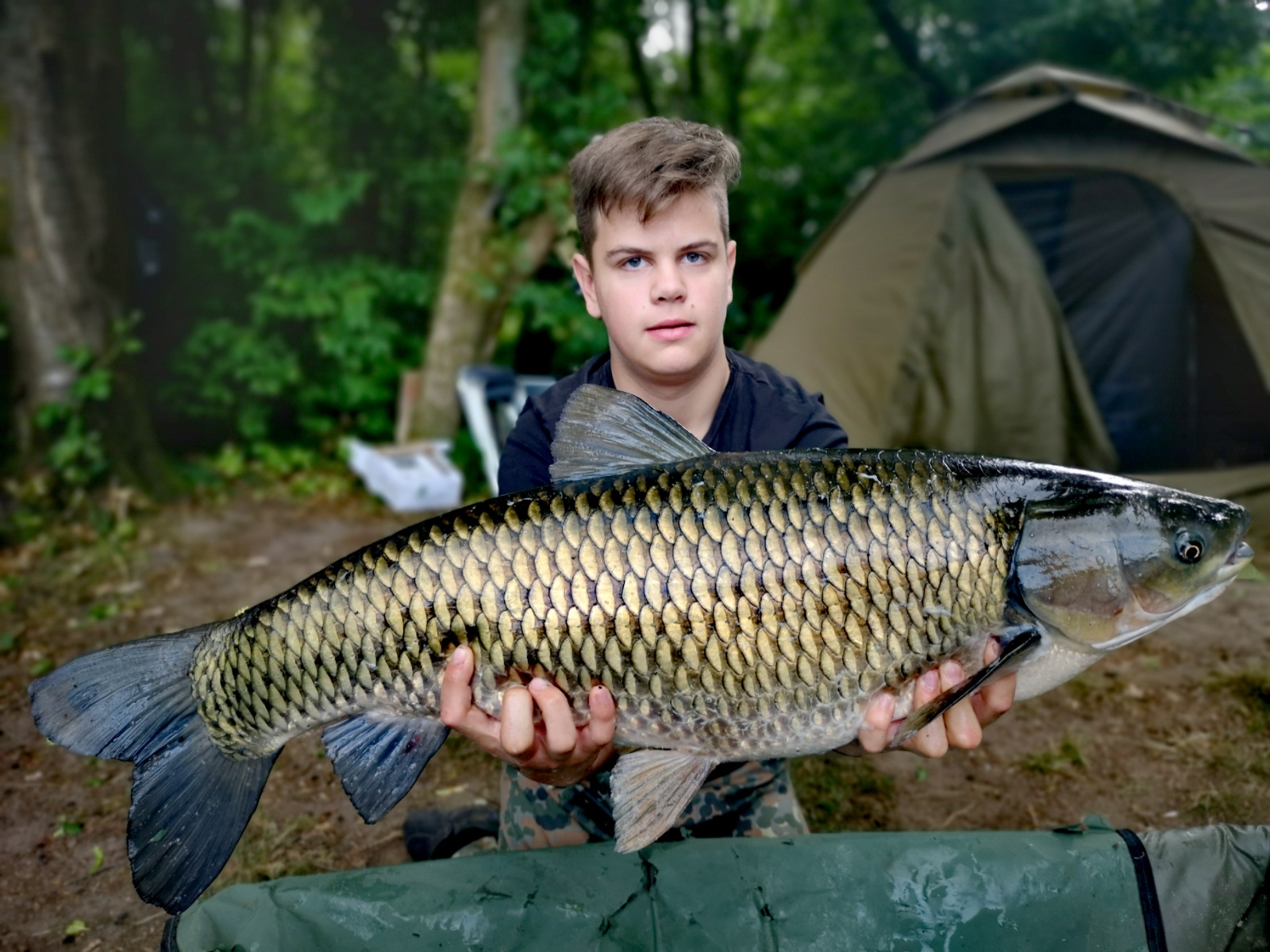 IMG 20230705 134831 1 edit 3182608658668009