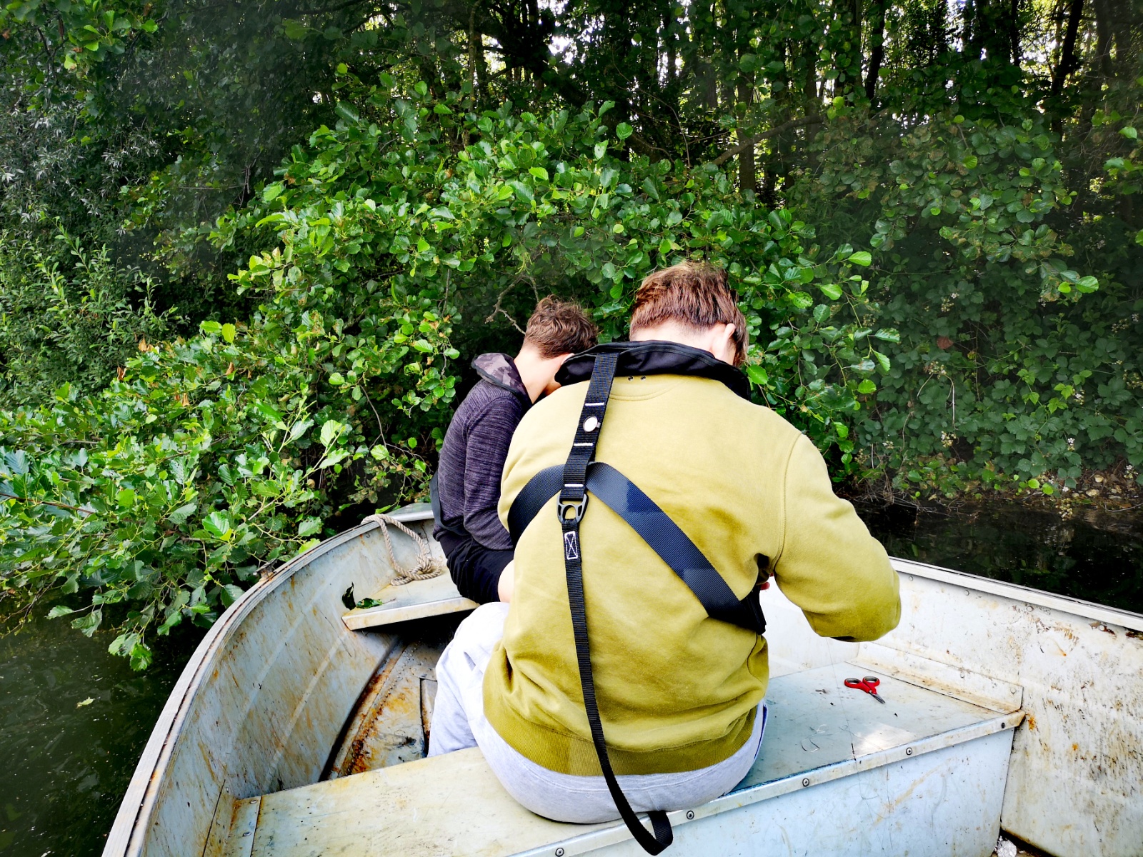 IMG 20230705 180130 edit 3190801198309467