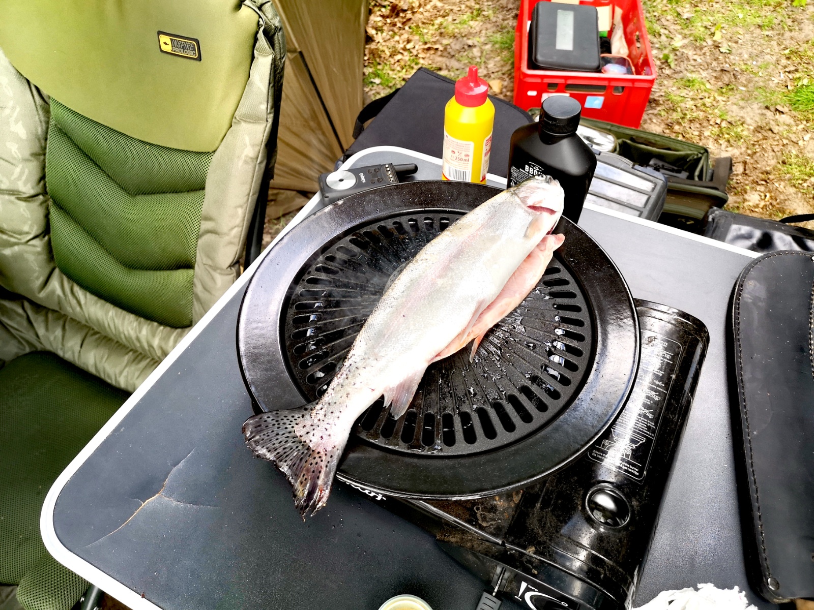 IMG 20230602 182523 edit 1811265637200179