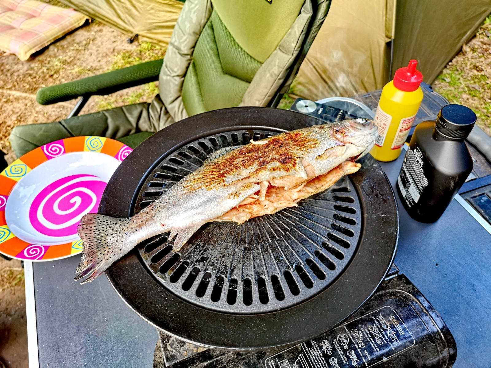 IMG 20230602 183235 edit 1811412655062136